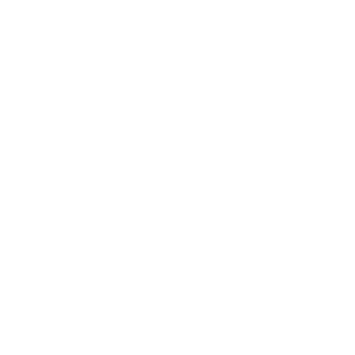 IT Talent Consulting